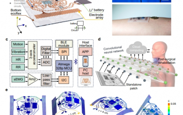 Nat Commun：完全集成的独立可拉伸设备平台，具有用于康复的传感器内自适应机器学习