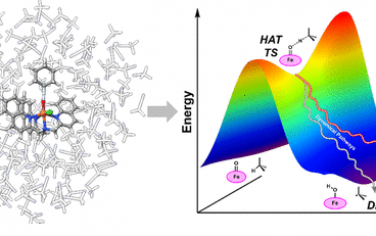 JACS：Fe-oxo催化C-H官能团化的机理调控