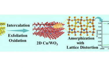 郑州大学Angew：Cu/WO3插层二维材料产生铁磁性