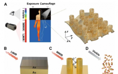 Sci. Adv.：自组装类皮肤超材料用于双波段伪装