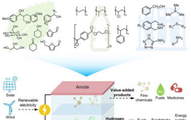 清华大学Chem综述：阳极电化学氧化反应