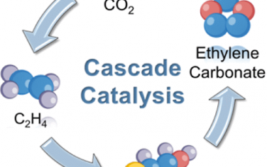 苏州大学JACS：CO2作为唯一碳原料合成乙烯碳酸酯