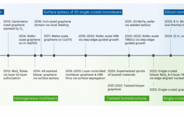 Nature Nanotechnology：二维材料及其同质结构的外延生长