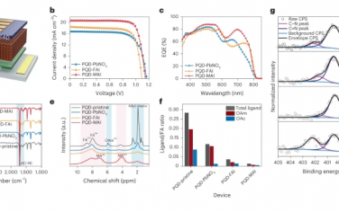 Nature Energy：有机阳离子钙钛矿量子点构筑高效率电池器件