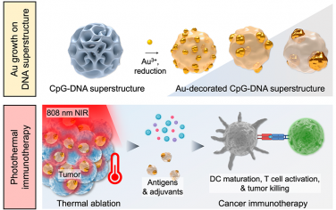 ACS Nano：多模态金DNA超结构(GDSs)用于高效光热-免疫治疗