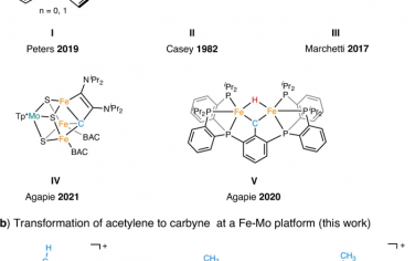 Nature Commun：水催化炔基转化为FeMo-碳炔