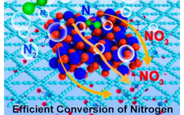 李玉良院士Angew：石墨炔Co电催化固氮制备HNO3