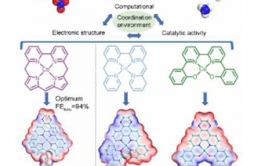 Angew：通过协调环境调节调节分子催化剂中钴的电子结构以实现高效多相硝酸盐还原