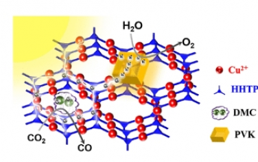 JACS：可控集成双核金属中心和光敏剂的大面积导电MOF超薄膜促进以H2O为电子给体的光催化还原CO2