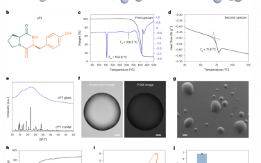 Nature Nanotechnology：高熵非共价环肽玻璃