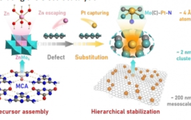Energy Environ. Sci.：原子取代策略诱导的多级稳定Pt单原子催化剂助力高效析氢反应