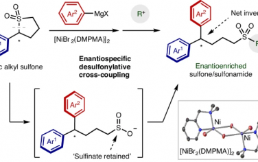 Nature Chem：环状砜类化合物立体选择性交叉偶联