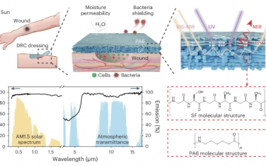 Nature Chemical Engineering：调控敷料的光照冷却效率实现加快伤口愈合