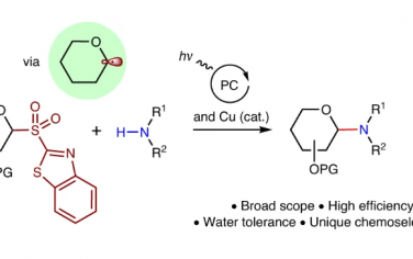Nature Synthesis：Cu-光催化协同实现N-糖苷化