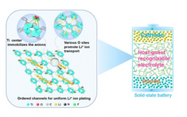 EES：构建主客体识别电解质促进固态电池中的Li+动力学