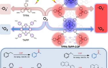 新加坡国立&山东大学Angew：集成两种光敏基团的三维COF增强光催化氧化