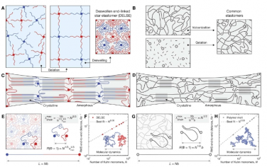 Science Advances：具有超高应变诱导结晶的弹性体