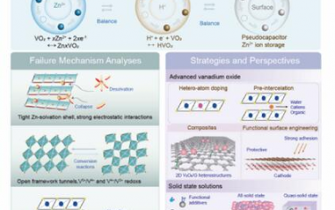 AEM：水性锌离子电池氧化钒基阴极失效机理及对策