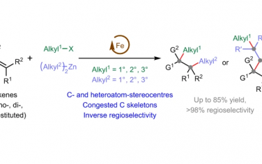 Nature Catalysis：Fe催化烯烃构筑结构拥挤的两个共轭手性中心