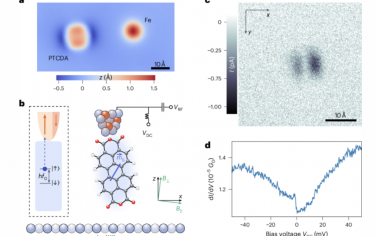 Nature Nanotechnology：原子尺度电场和磁场的量子传感器