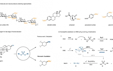 Nature Communications：硫酸二甲酯和硫酸二异丙酯作为实用和通用的O-硫酸化试剂