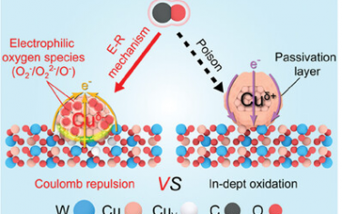 Adv Mater：Cu纳米粒子担载于CuWO4的阳离子缺陷形成反向电子转移促进CO氧化反应