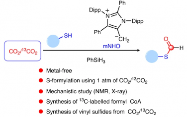Nature Catalysis：有机催化CO2对硫化物甲酰化