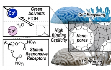 JACS：用于钴回收的 3D 打印多孔超分子吸附剂