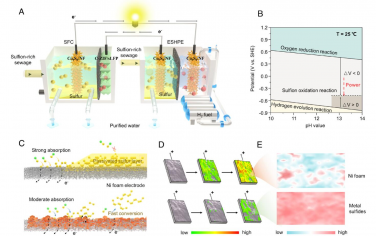 PNAS：基于废锂离子电池高效催化剂的硫氧化辅助自供电制氢系统