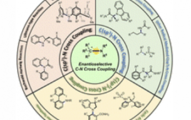 Chem. Soc. Rev.：过渡金属催化的对映选择性C-N交叉偶联