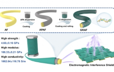 ACS Nano：用于电磁干扰屏蔽的结构功能集成石墨烯皮芳纶纤维