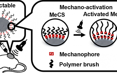 ACS Nano：可注射的力色团纳米颗粒用于实现深层组织机械化学动力学治疗