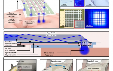 Nature Communications：用于同时进行电生理记录和光遗传学刺激的完全生物可吸收的混合光电神经植入系统