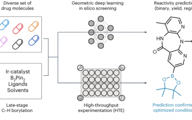 Nature Chem：通过深度学习和高通量实验进行药物分子后期衍生化
