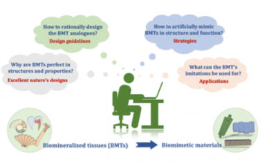 Chem. Soc. Rev.：源自生物矿化组织的高性能仿生材料设计和构建指南
