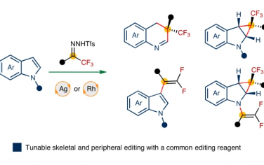 Nature Chem：使用氟烷基卡宾编辑吲哚分子