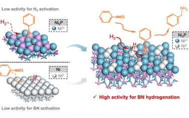 清华大学JACS：Ni3P构筑构筑Ni0–Niδ+原子对用于催化氰苯加氢