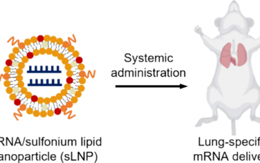 Nano Lett：通过锍脂质纳米颗粒实现肺特异性mRNA递送