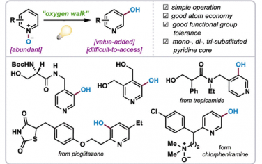 JACS：光催化吡啶C3位点羟基化