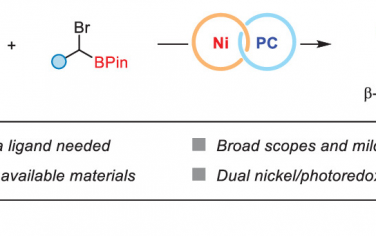 ACS Catal：Ni-光协同催化活化α-C-H键和C(sp3)-C(sp3)偶联合成β-氨基硼酸酯