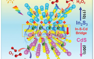 新加坡国立大学&苏州科技大学Adv Mater：In2S3-CdS异质结界面光催化合成H2O2