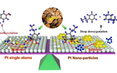 Angew：单原子Pt催化生物质单体转化