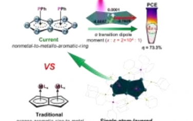 Angew：具有非金属到金属芳香环配位和有前景的光热转换效率的 Pd8 纳米团簇