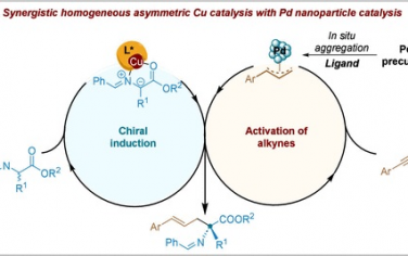 上海有机化学研究所JACS：Cu均相催化剂-Pd纳米粒子协同进行炔烃-醛亚胺酯偶联