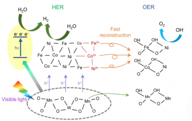 Angew：光促进大电流密度电催化分解水