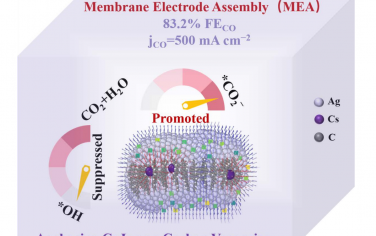 Angew：碳缺陷修饰Cs+促进膜电解槽CO2电催化还原