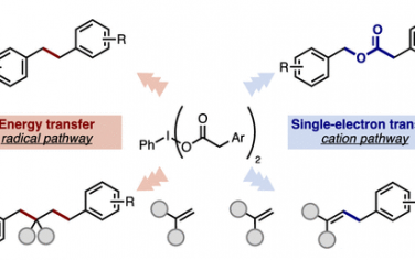 JACS：能量转移or电子转移光催化脱羧