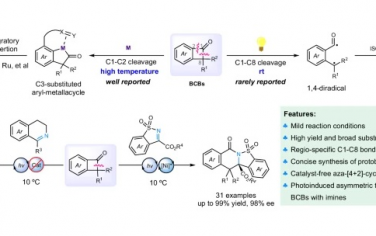 四川大学Nature Commun：光诱导苯并环丁酮的氮杂[4+2]环加成