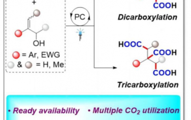 Chem：烯丙醇与CO2的可切换二羧化或三羧化