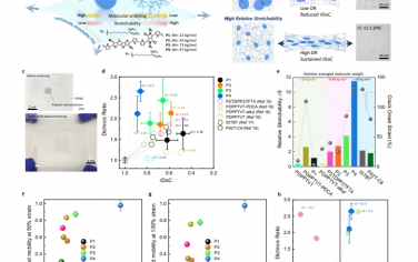 Nat Commun：具有多模态能量耗散和高相对拉伸性的高拉伸聚合物半导体薄膜